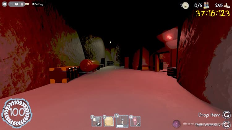 RidgeRightTurnW/Room
